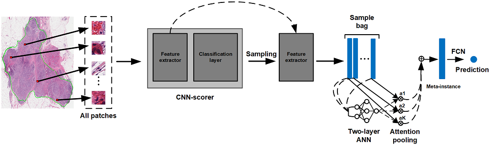 bcrnet